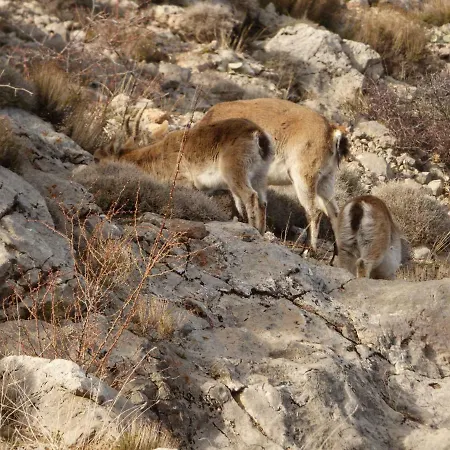 Eras * Camarena de la Sierra