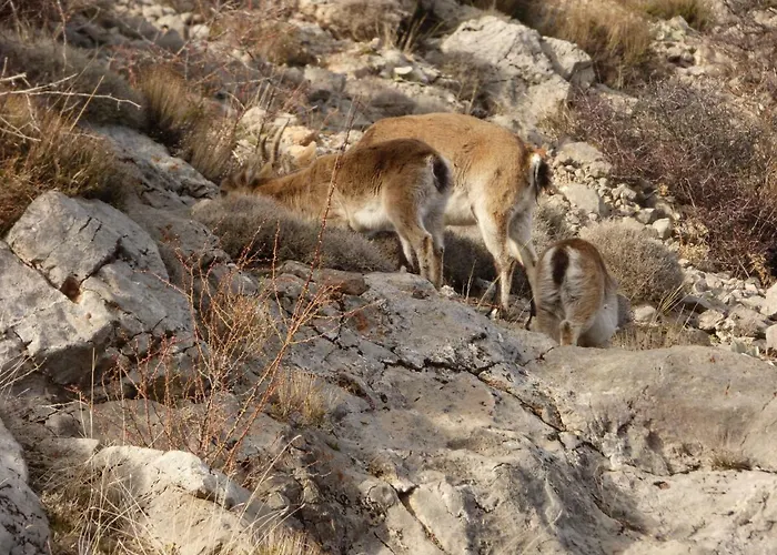Eras * Camarena de la Sierra